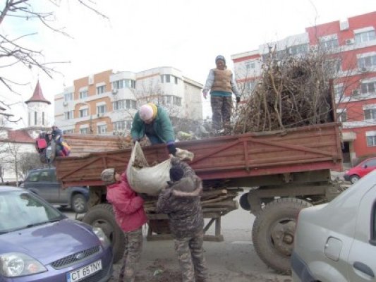 Iată unde vor acționa angajaţii de la spații verzi săptămâna aceasta